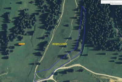 Vand 100.000 mp teren intravilan Poiana Mica - dezvoltari imobiliare - 3