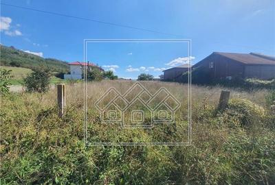 Teren de vanzare in Sibiu - intravilan - zona de case - Gusterita - 3