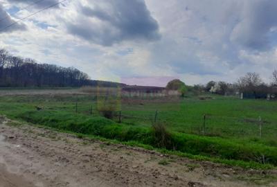 Teren Construcții intravilan de 3400 mp, în Buturugeni - 14