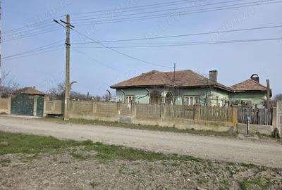 Casă cu 3 camere cu Teren 3600 Mp în Celaru - 4