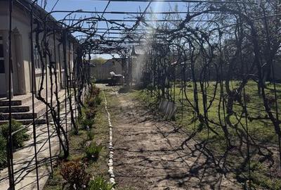 Casă cu 4 camere cu Teren 86 Mp în Coteana - 6