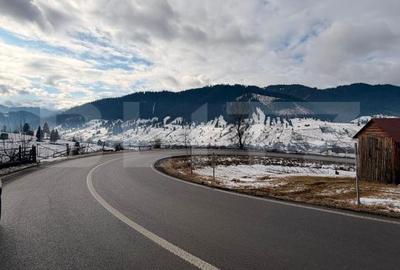 Spațiu comercial, în Sadova