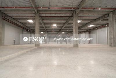 Spațiu comercial, de 5,300 mp, în Chitila - 2