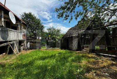 Casa la munte cu teren generos de 9340mp in zona Capalna - Valea Sebesului - 4