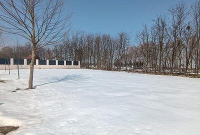 Teren de 800 mp, în Joița - 12