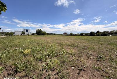 Teren de 5000 mp, în Lunca Oltului - 4