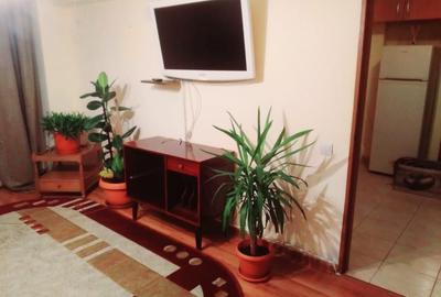 Apartament cu 2 camere semidecomandat, mobilat în Apărătorii Patriei - 13