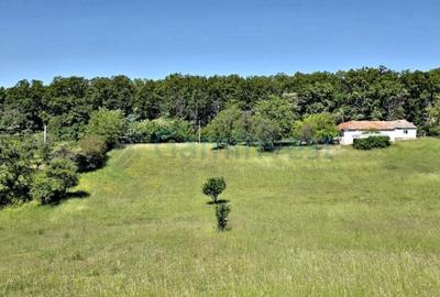 Casă cu 4 camere cu Teren 2670 Mp în Vârciorog - 1
