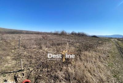 Spațiu comercial, în Ciritei - 2