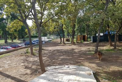 Teren Construcții intravilan de 950 mp, în Central