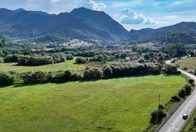 Cheile Rasnoavei DN73A, teren extravilan 3.000 mp, zona de vis, ideal investitie - 8