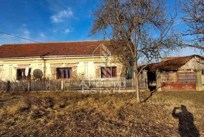 Casa de caramida in Tela si Teren Generos de 4320 mp - 3