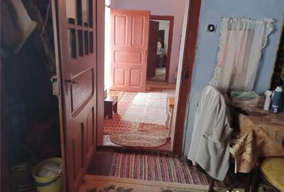Casă cu 3 camere cu Teren 4658 Mp în Ghimpați - 3