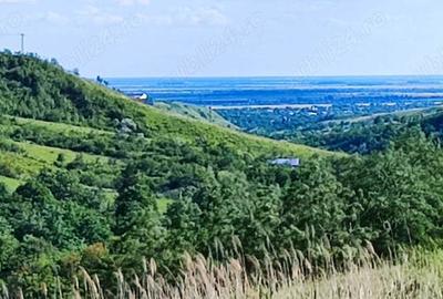 Teren de 5000 mp, în Boboci - 2