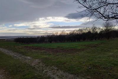 RECO Teren intravilan, Urvind - 2