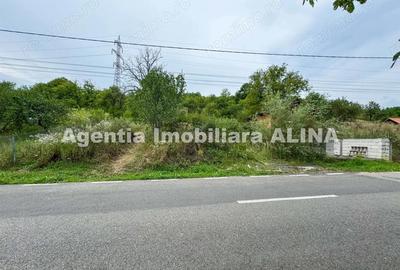 Teren intravilan 4.664 mp in Satul Boholt din Comuna Soimus, Jud. Hunedoara. - 3