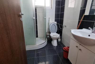 Apartament cu 2 camere, mobilat în Metalurgiei - 8