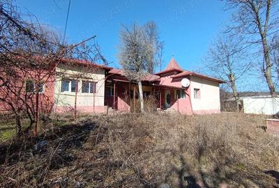 Proprietatea ta la Blidari 12 km de Ramnicu Valcea,constructii:235mp+109mp si teren7277mp intravilan - 3
