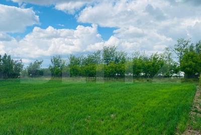 Casă individuală cu 4 camere cu Teren 2753 Mp în Exterior Est - 7