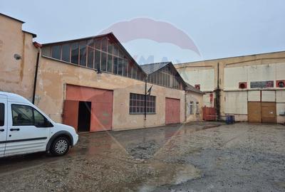Spațiu industrial, de 450 mp, în Sânnicolau Mic - 2