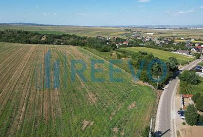 Teren de vanzare, Com. Sarata, Jud. Bacau - 1