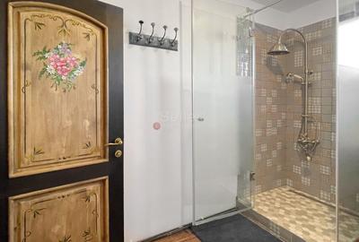 Complex de 3 case pe 18000 mp teren - 18