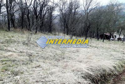 Teren de 1450 mp, în Central