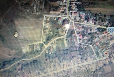 Vand teren intravilan 22500 mp ,industrial, Breasta-DOLJ,50 eur/mp - 3