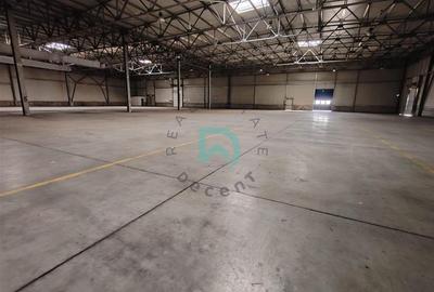 Spațiu industrial, de 5,500 mp, în Feldioara - 4