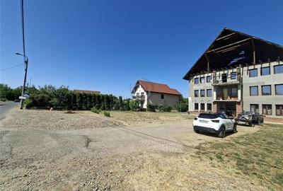 Pensiune de vanzare in Oradea, zona Podgoria - 6
