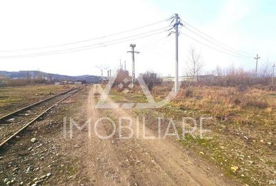 Teren de 12000 mp, în Rovinari - 3