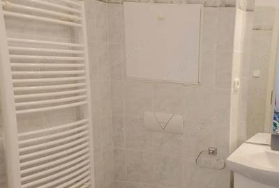 Garsonieră în Buziașului