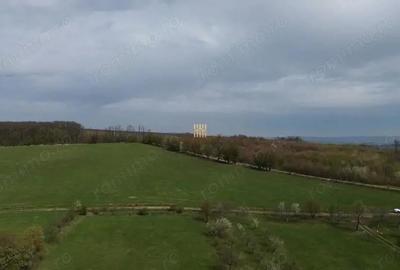 Teren intravilan 5800 mp Mitocasi - Suceava! - 11