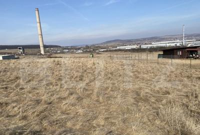 Teren intravilan de vanzare, 690 mp, zona Dumbrava Nord - 4