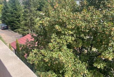 Apartament 3 camere Petrom City/Straulesti - 17