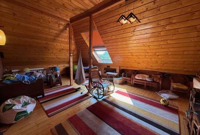 VILA LOCATIE UNICA GRADINA ICOANEI - 12