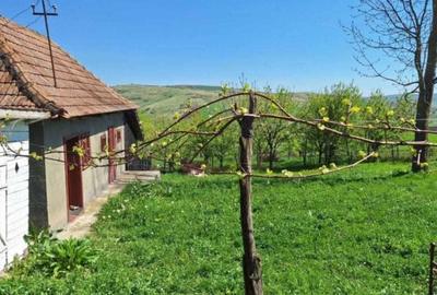 Casă cu 2 camere în Vale - 3