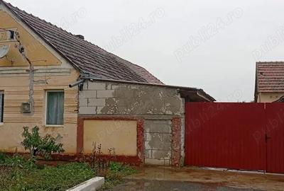 Casă cu Teren 1439 Mp în Alioș - 8