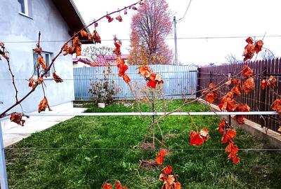 Casa in Mitocul Dragomirnei - 7