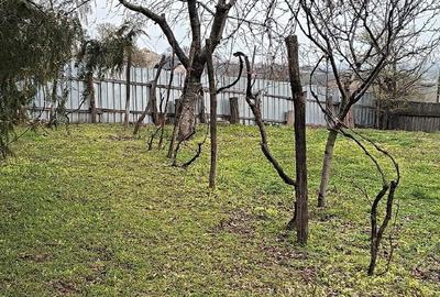 Casă cu Teren 2100 Mp în Aldești - 3