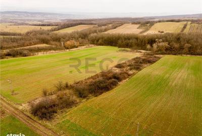 Spațiu comercial, în Ceica - 2