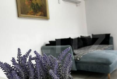 Cabana complet echipata in Baile Figa 5 dormitoare, 2 - 12