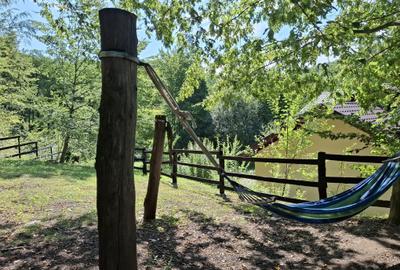 Casă cu 6 camere cu Teren 2267 Mp în Iedera de Sus - 15