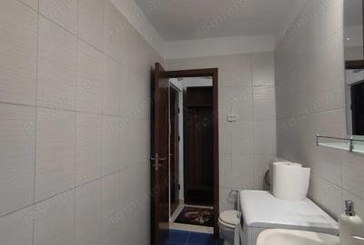 Inchiriere garsoniera decomandata in zona Tei - Teiul Doamnei - 8