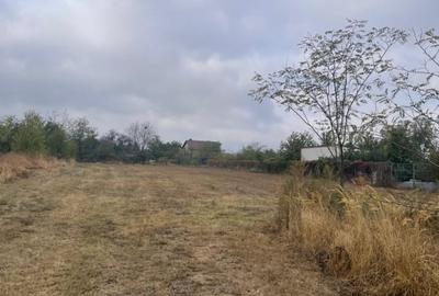 Teren Construcții intravilan de 4227.7099609375 mp, în Clinceni - 2