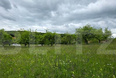 Teren intravilan, 34 ari intravilan, zona Unirea - 10