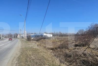 Teren de 3500 mp, în Sântuhalm - 4