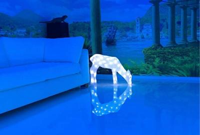 Casa in Valu lui Traian - 2