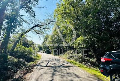 Un peisaj de poveste, ideal pentru investi?ie, Comuna Crasna - 13