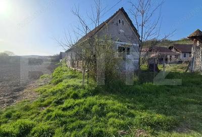 Casă cu 2 camere cu Teren 15000 Mp în Central - 6